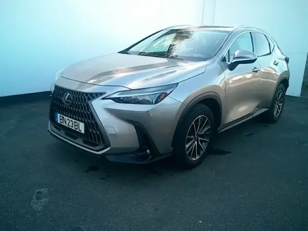 NX 300h